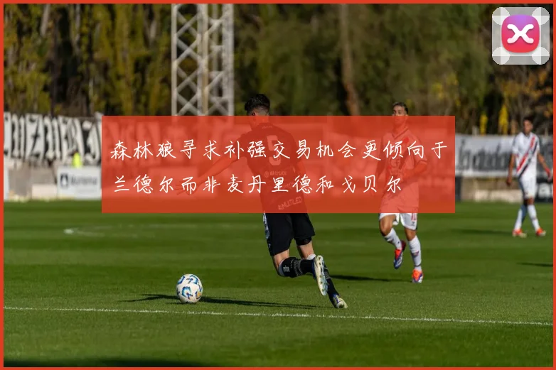 森林狼寻求补强交易机会更倾向于兰德尔而非麦丹里德和戈贝尔